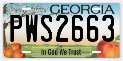 GA license plate PWS2663