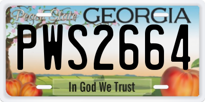 GA license plate PWS2664