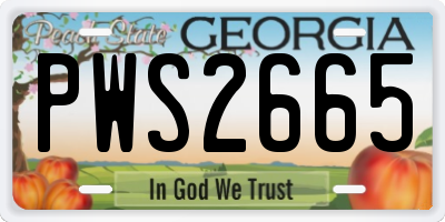 GA license plate PWS2665
