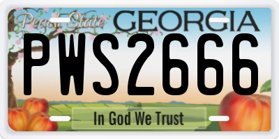 GA license plate PWS2666