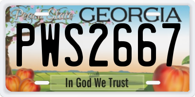 GA license plate PWS2667