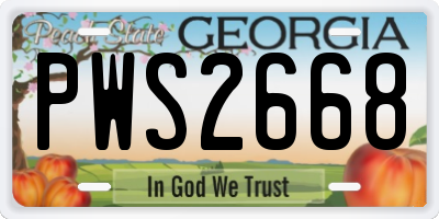 GA license plate PWS2668