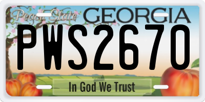 GA license plate PWS2670