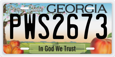 GA license plate PWS2673