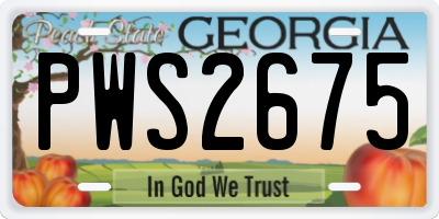 GA license plate PWS2675