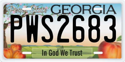 GA license plate PWS2683