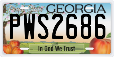GA license plate PWS2686