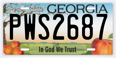 GA license plate PWS2687