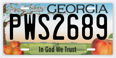 GA license plate PWS2689