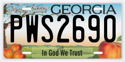 GA license plate PWS2690