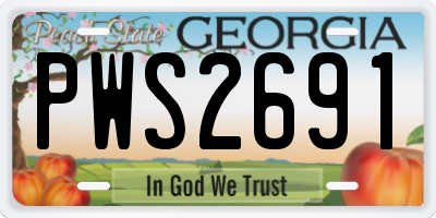 GA license plate PWS2691