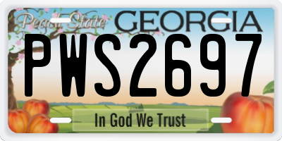 GA license plate PWS2697