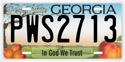 GA license plate PWS2713