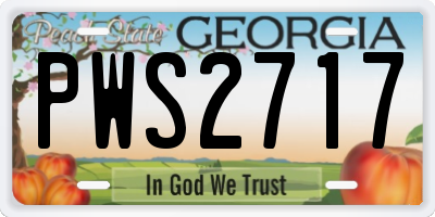 GA license plate PWS2717