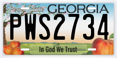 GA license plate PWS2734