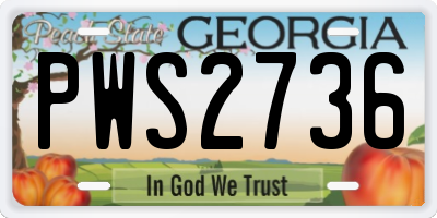 GA license plate PWS2736