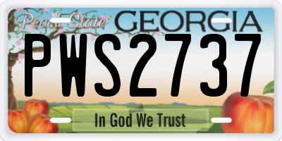 GA license plate PWS2737