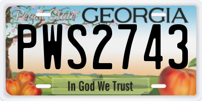 GA license plate PWS2743