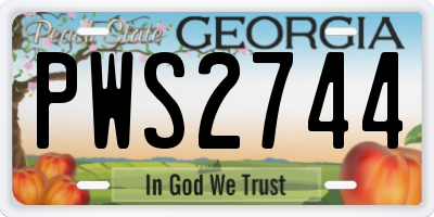GA license plate PWS2744