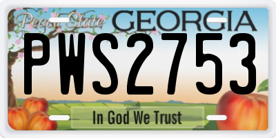GA license plate PWS2753