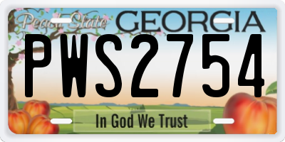 GA license plate PWS2754