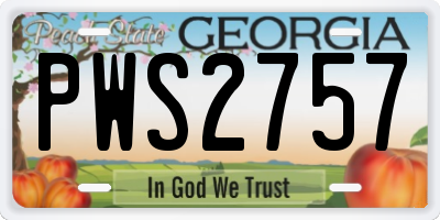 GA license plate PWS2757