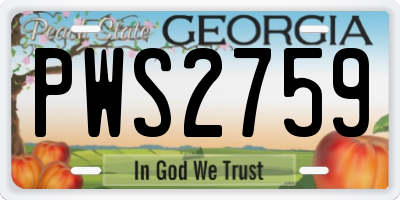 GA license plate PWS2759