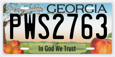 GA license plate PWS2763