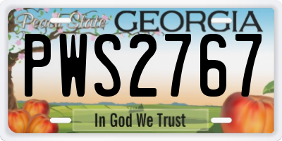 GA license plate PWS2767