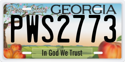 GA license plate PWS2773