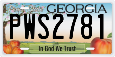 GA license plate PWS2781