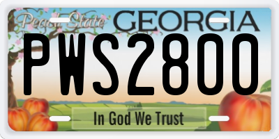 GA license plate PWS2800