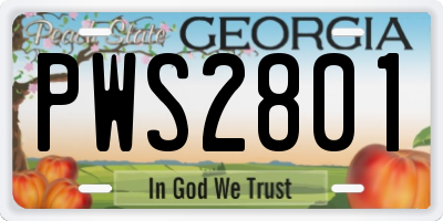 GA license plate PWS2801