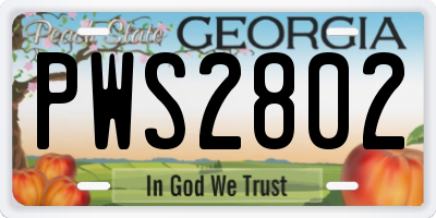 GA license plate PWS2802