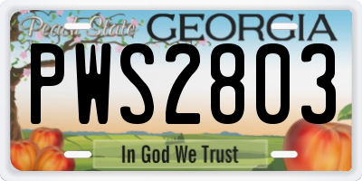 GA license plate PWS2803