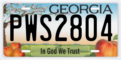 GA license plate PWS2804
