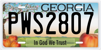 GA license plate PWS2807