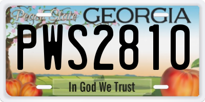 GA license plate PWS2810