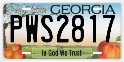GA license plate PWS2817