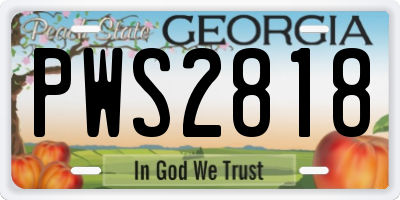 GA license plate PWS2818