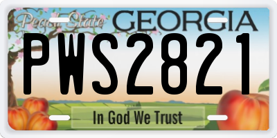 GA license plate PWS2821