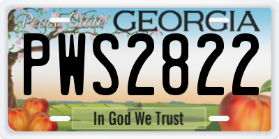 GA license plate PWS2822