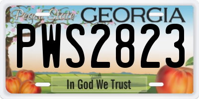 GA license plate PWS2823