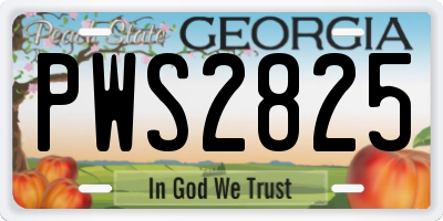 GA license plate PWS2825