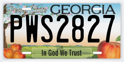 GA license plate PWS2827