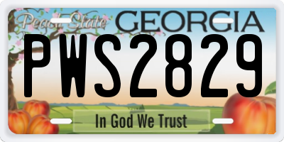 GA license plate PWS2829