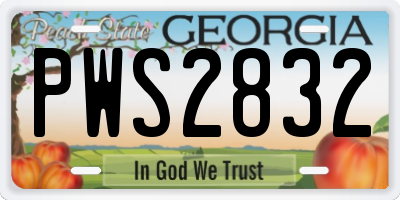 GA license plate PWS2832