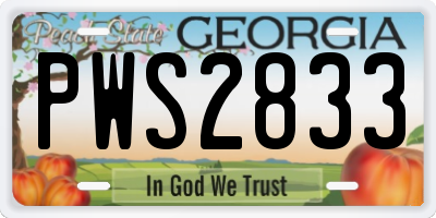 GA license plate PWS2833