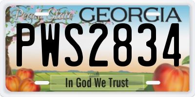 GA license plate PWS2834