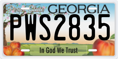 GA license plate PWS2835